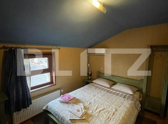 Casa de vânzare 11 camere Orasul Vechi - 183263CV | BLITZ Baia Mare | Poza8