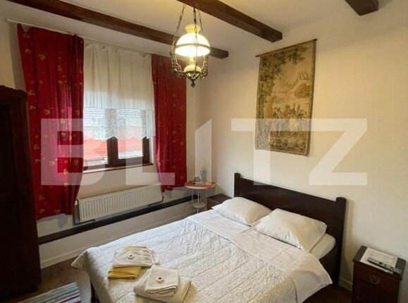 Casa de vânzare 11 camere Orasul Vechi - 183263CV | BLITZ Baia Mare | Poza14