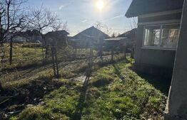 Oportunitate investitie in Casa familiala 