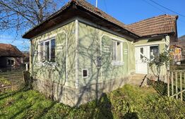 Oportunitate investitie in Casa familiala 