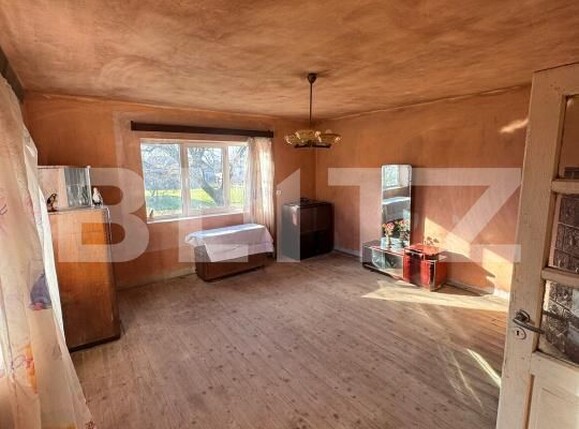 Casa de vânzare 1 camera Tautii de Sus - 183664CV | BLITZ Baia Mare | Poza10