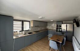 Vilă 234 mp, 5 Dormit. Renovată 2019, 20 km BM, Terasă, Teren Extensibil.