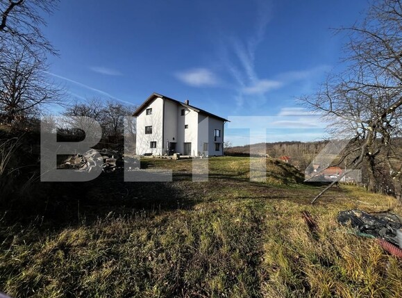 Casa de vânzare 7 camere Berchez - 184017CV | BLITZ Baia Mare | Poza1