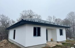 Casa individuala pe un singur nivel 