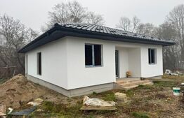 Casa individuala pe un singur nivel 