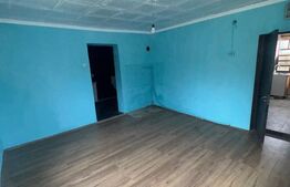 Casă 60 mp, teren 7 ari, baie renovată, Bozânta Mică