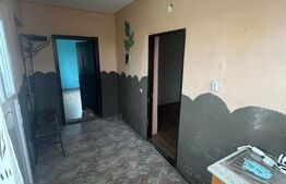 Casă 60 mp, teren 7 ari, baie renovată, Bozânta Mică