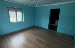 Casă 60 mp, teren 7 ari, baie renovată, Bozânta Mică