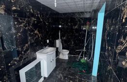 Casă 60 mp, teren 7 ari, baie renovată, Bozânta Mică