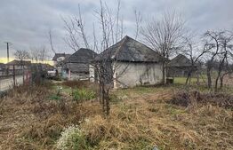 Casă 60 mp, teren 7 ari, baie renovată, Bozânta Mică