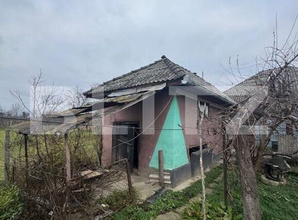 Casa de vânzare 2 camere Bozanta Mica - 184442CV | BLITZ Baia Mare | Poza6