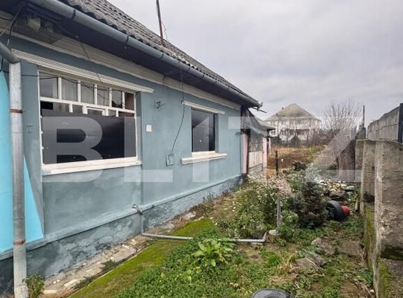 Casa de vânzare 2 camere Bozanta Mica - 184442CV | BLITZ Baia Mare | Poza5