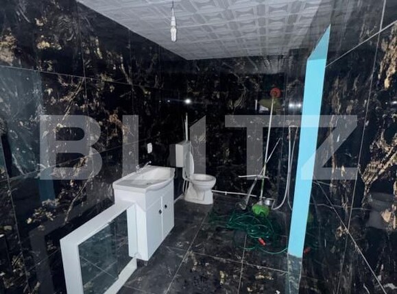 Casa de vânzare 2 camere Bozanta Mica - 184442CV | BLITZ Baia Mare | Poza10