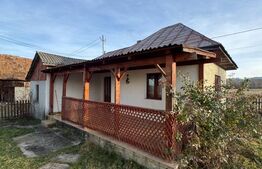 Două case pe același teren, 180 mp utili, 25 ari, Șindrești