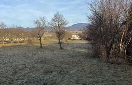 Două case pe același teren, 180 mp utili, 25 ari, Șindrești