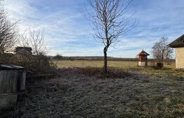 Două case pe același teren, 180 mp utili, 25 ari, Șindrești