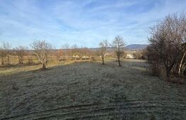 Două case pe același teren, 180 mp utili, 25 ari, Șindrești