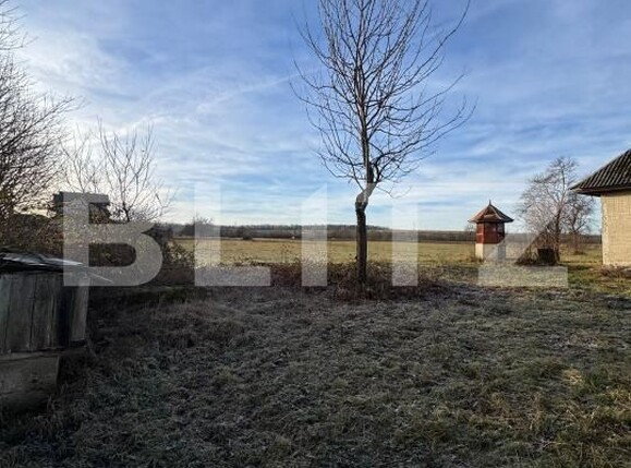 Casa de vânzare 3 camere Sindresti - 184463CV | BLITZ Baia Mare | Poza21