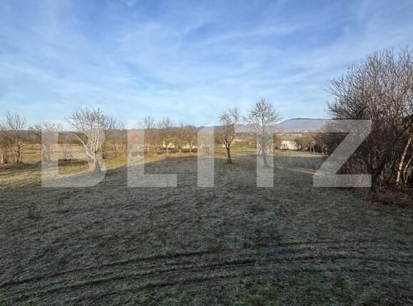 Casa de vânzare 3 camere Sindresti - 184463CV | BLITZ Baia Mare | Poza18