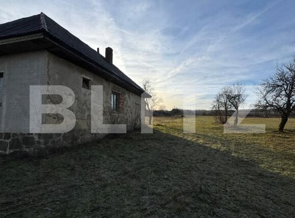 Casa de vânzare 3 camere Sindresti - 184463CV | BLITZ Baia Mare | Poza17