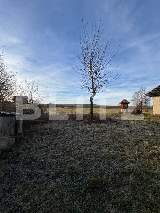 Casa de vânzare 3 camere Sindresti - 184463CV | BLITZ Baia Mare | Poza21