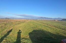 Teren de vânzare – Mocira, jud. Maramureș 18 ari