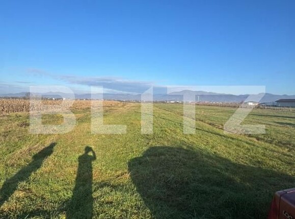 Teren de vânzare Mocira - 184565TV | BLITZ Baia Mare | Poza2