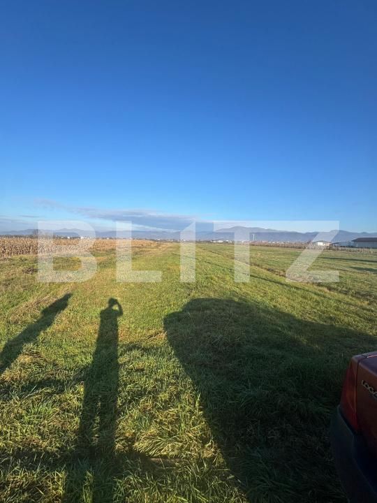 Teren de vânzare Mocira - 184565TV | BLITZ Baia Mare | Poza2