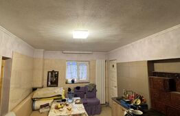 Casă renovată cu teren 600 mp, garaj și anexe – Posta, aproape de Baia Mare