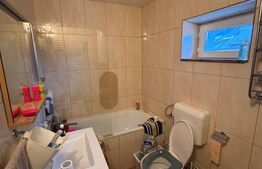 Casă renovată cu teren 600 mp, garaj și anexe – Posta, aproape de Baia Mare