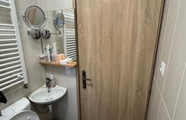 Casă renovată cu teren 600 mp, garaj și anexe – Posta, aproape de Baia Mare