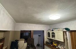 Casă renovată cu teren 600 mp, garaj și anexe – Posta, aproape de Baia Mare