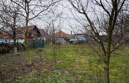 Casă renovată cu teren 600 mp, garaj și anexe – Posta, aproape de Baia Mare