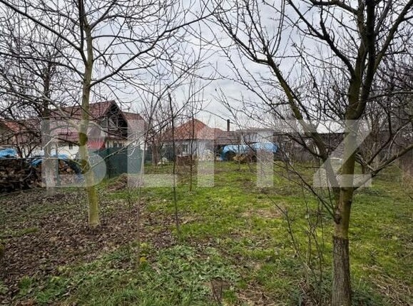 Casa de vânzare 3 camere Posta - 184619CV | BLITZ Baia Mare | Poza6