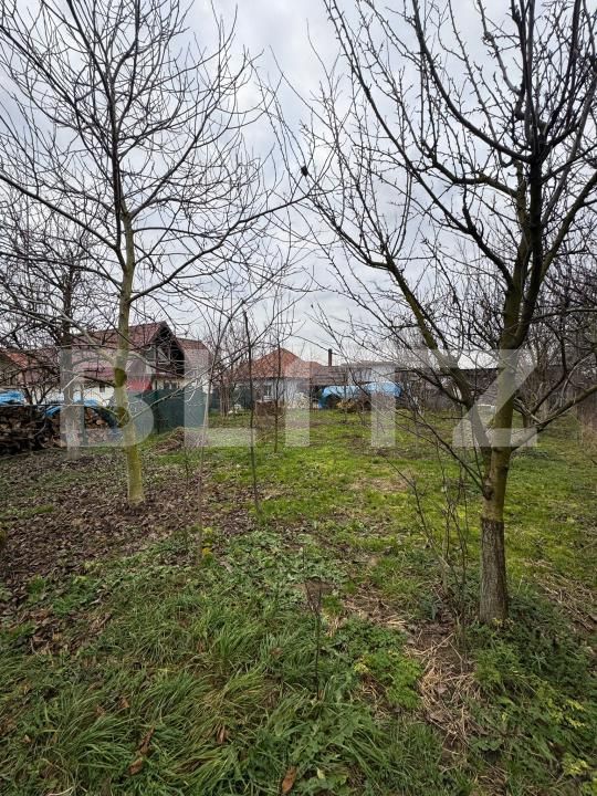 Casa de vânzare 3 camere Posta - 184619CV | BLITZ Baia Mare | Poza6