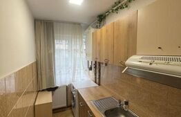 Apartament de 2 camere, semidecomandat, 37mp, parter, zona Garii