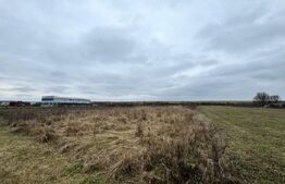 Teren 28 ari, drum principal