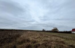 Teren 28 ari, drum principal