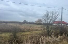 Teren 28 ari, drum principal