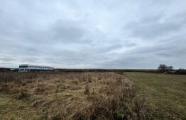 Teren 28 ari, drum principal