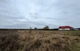 Teren 28 ari, drum principal