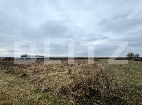 Teren de vânzare Satulung - 184919TV | BLITZ Baia Mare | Poza5