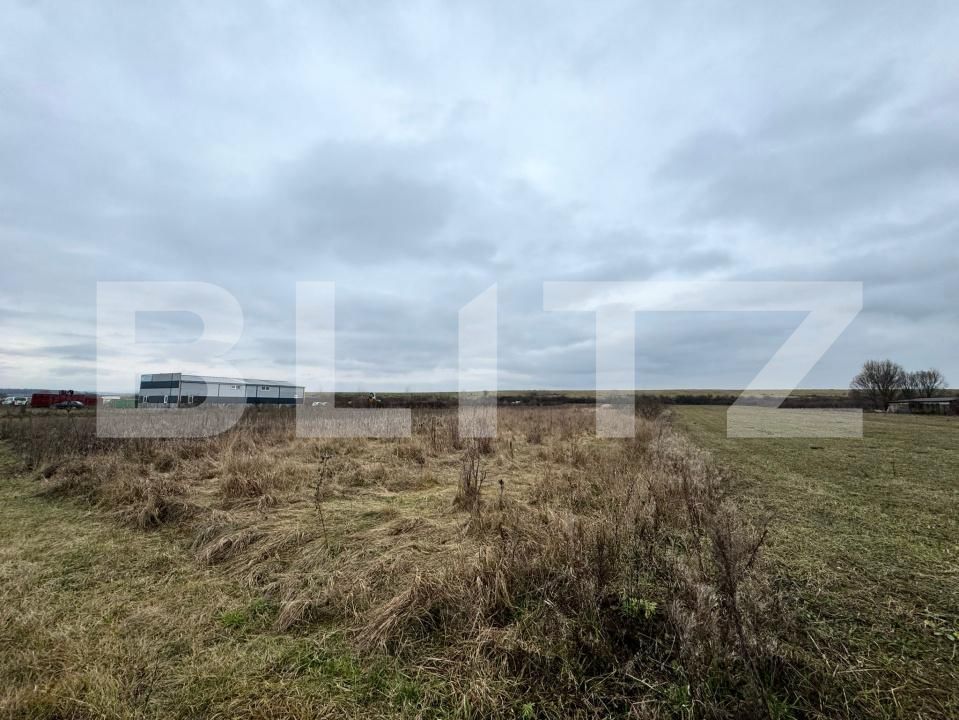 Teren de vânzare Satulung - 184919TV | BLITZ Baia Mare | Poza5