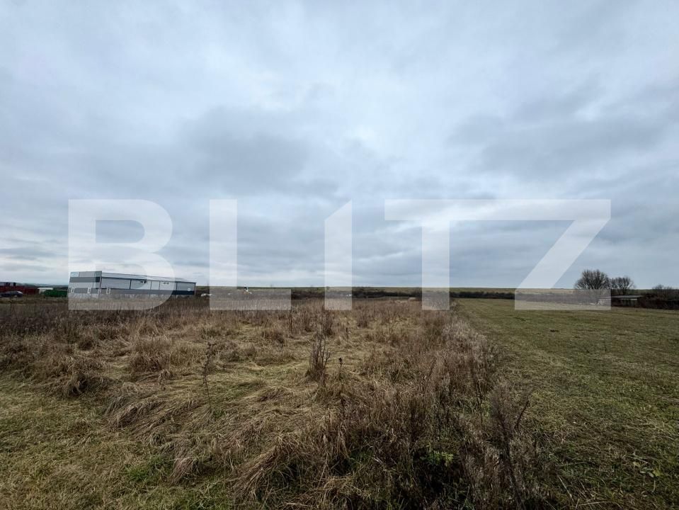 Teren de vânzare Satulung - 184919TV | BLITZ Baia Mare | Poza3