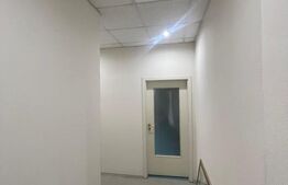 Spatiu de inchiriat, 102 mp, zona Independentei 