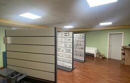 Spatiu de inchiriat, 102 mp, zona Independentei 