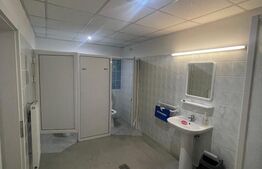 Spatiu de inchiriat, 102 mp, zona Independentei 