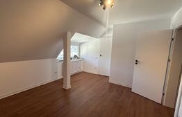 Vila Noua la cheie 520 mp, zona Parcul Mare