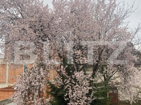 Casa de vânzare 12 camere Orasul Vechi - 185620CV | BLITZ Baia Mare | Poza12