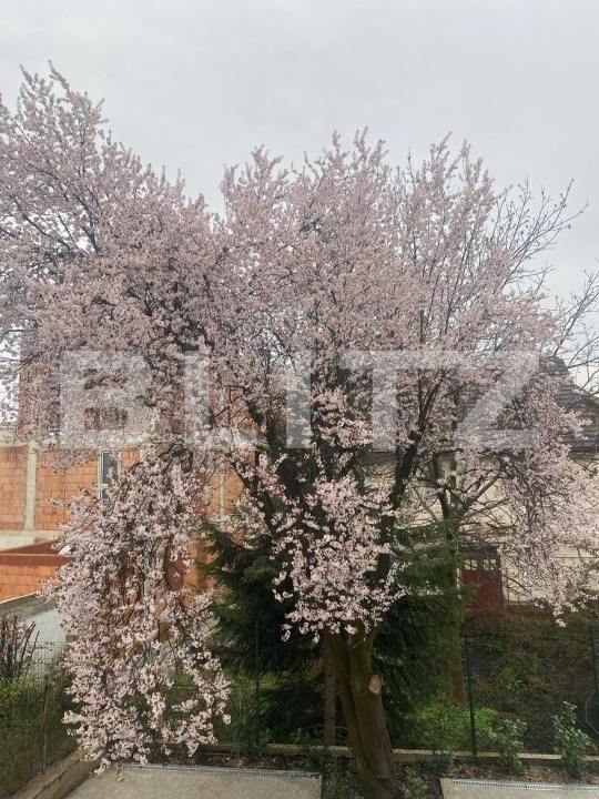 Casa de vânzare 12 camere Orasul Vechi - 185620CV | BLITZ Baia Mare | Poza13